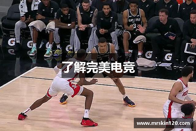 了解完美电竞